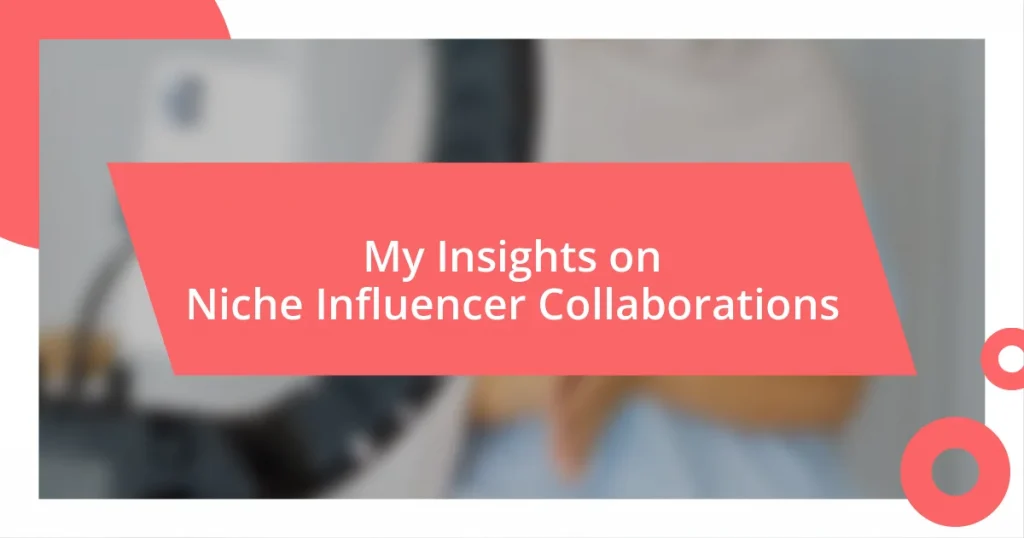 My Insights on Niche Influencer Collaborations