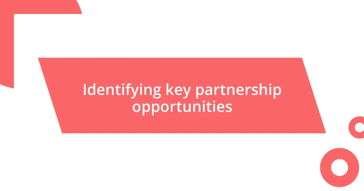 Identifying key partnership opportunities